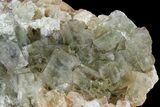 Green Cubic Fluorite Crystal Cluster - Morocco #180263-2